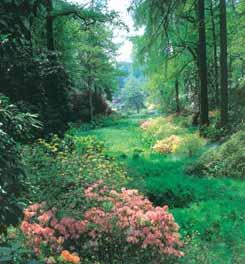 As well as formal borders and rockeries, it is famous for its rhododendrons, magnolias and
