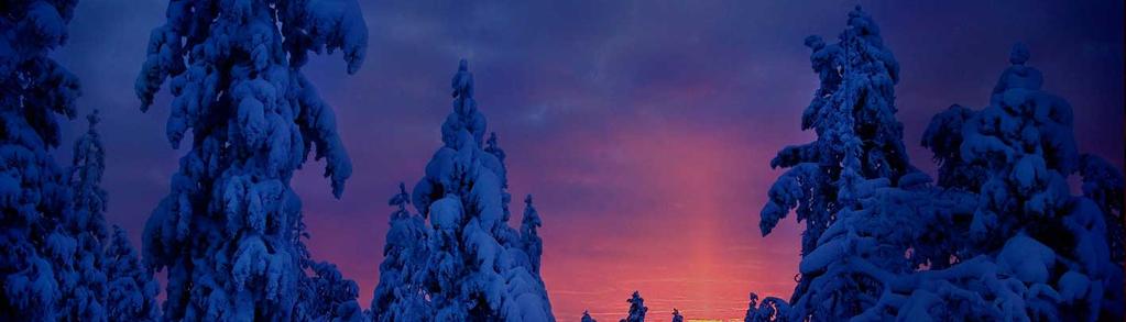 Arrive in Rovaniemi, during the day of the