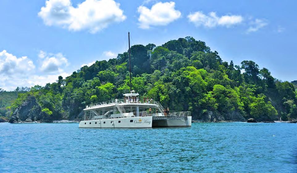 Participants will board a catamaran at the Pez Vela Marina, and will enjoy a peaceful trip.