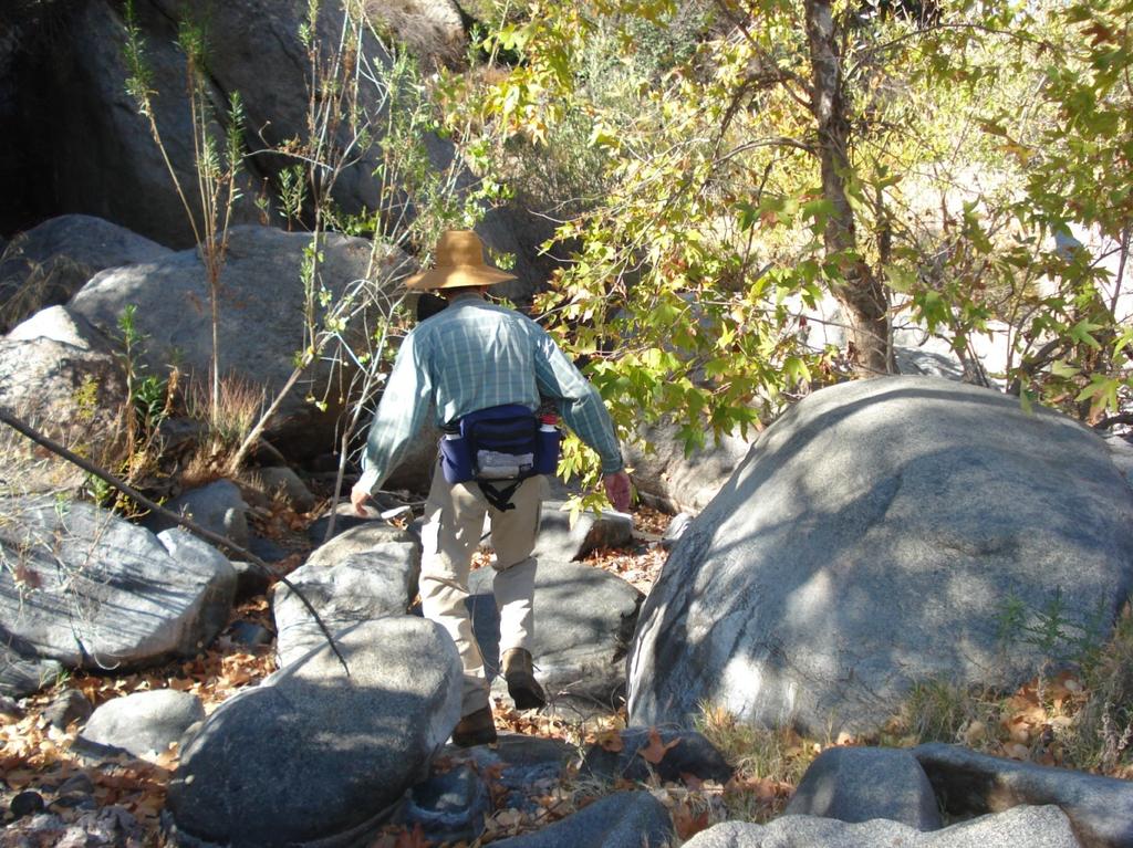 in Clevenger Canyon