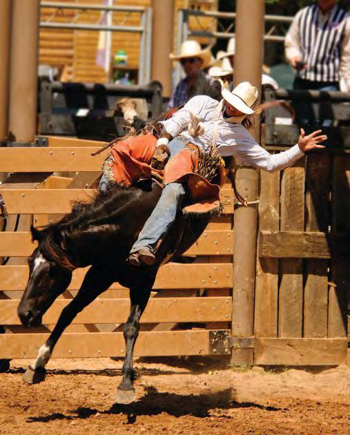 RODEOS South Dakota s link to its cowboy roots is visible at dozens of rodeos held across the state each year.