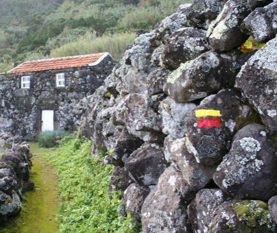 HIKING IN CAMINHOS DE SANTA LUZIA FULL DAY EXTENSION: 10,5 KM DURATION: 3H30 DIFFICULTY: MEDIUM This hike takes place in Santa Luzia and goes through some of the Pico Island vineyards which are