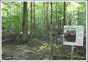 4.1.2 Walker Woods Walker Woods is made up of two parcels of land owned by the Region of Waterloo and the Township of Wilmot located between the Stonecroft adult lifestyle community and Walker Road.