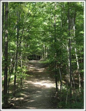 Access to the south portion of the property is off of Walker Road. Presently Walker Woods contains approximately 3km of hiking trails.