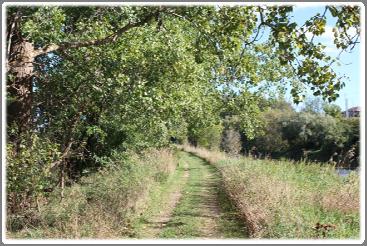Through Wilmot, the Avon Trail involves 24km of trail containing both on and off road segments. 4.1.