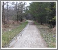 Images from Wilmot Trails Survey When asked to identify three issues most important for trail users, natural surroundings was selected as the leading consideration, followed by trail maintenance,