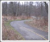 Through all methods of public consultation, the most common statements that were made were that there are not enough trails in Wilmot, that existing trails are not well advertised, that trail