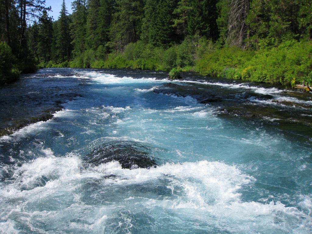 Act also mandates that the free-flowing condition of the river is