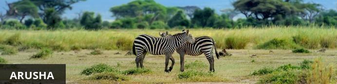 DAY 1- FEBRUARY 3: ARRIVAL AND ARUSHA Arusha is the safari capital of Tanzania located at the foot of Mt. Meru, close to Mount Kilimanjaro, the Manyara, Tarangire and Ngorongoro National Parks.