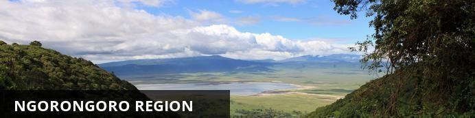 Included Breakfast, Lunch and Dinner, Specified Activities DAY 10- FEBRUARY 12: SERENGETI TO NGORONGORO REGION Situated in the shadow of the Ngorongoro Crater the area around Karatu is perfect for