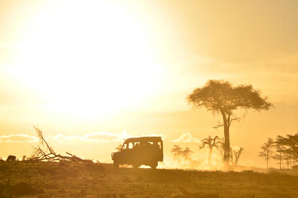 AMAZING KENYA SAFARI TOUR DAYS: 08 DAYS TOUR STYLE: SAFARI CANADA - NAIROBI SAMBURU LAKE NAKURU - MASAI MARA NAIROBI CANADA TOUR SUMMARY: Experience Kenya s incredible wildlife and fantastic scenery