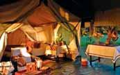 The Great Migration Safari in Style: Under Canvas Edition YOUR INSPIRING ACCOMMODATIONS Here is a preview of your