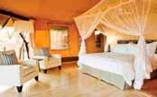 Exclusive A&K Masai Mara Camp Crisp linens, full bathrooms and every luxury, all under canvas in the bush.