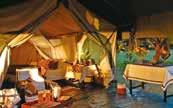 The Great Migration Safari in Style: Under Canvas Edition Your Inspiring ACCOMMODATIONS Here is a