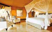 Exclusive A&K Masai Mara Camp Crisp linens, full bathrooms and every luxury, all under canvas in the