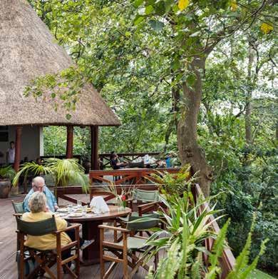 mikeno lodge - Virunga National Park - Located in the depth of the Virunga forest is