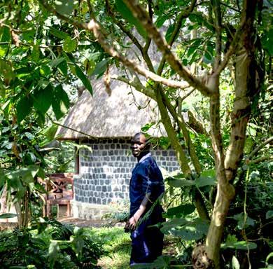 This is Virunga National Park s first lodge, and not only is it luxury but it is built