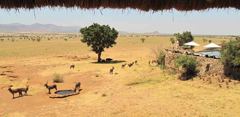 apoka lodge - Kidepo Valley - Located in the heart of Kidepo Valley, Apoka is a