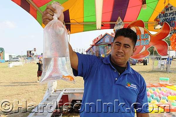 Roger Cortez Juarez holds up a live goldfish that could be won at the fair.
