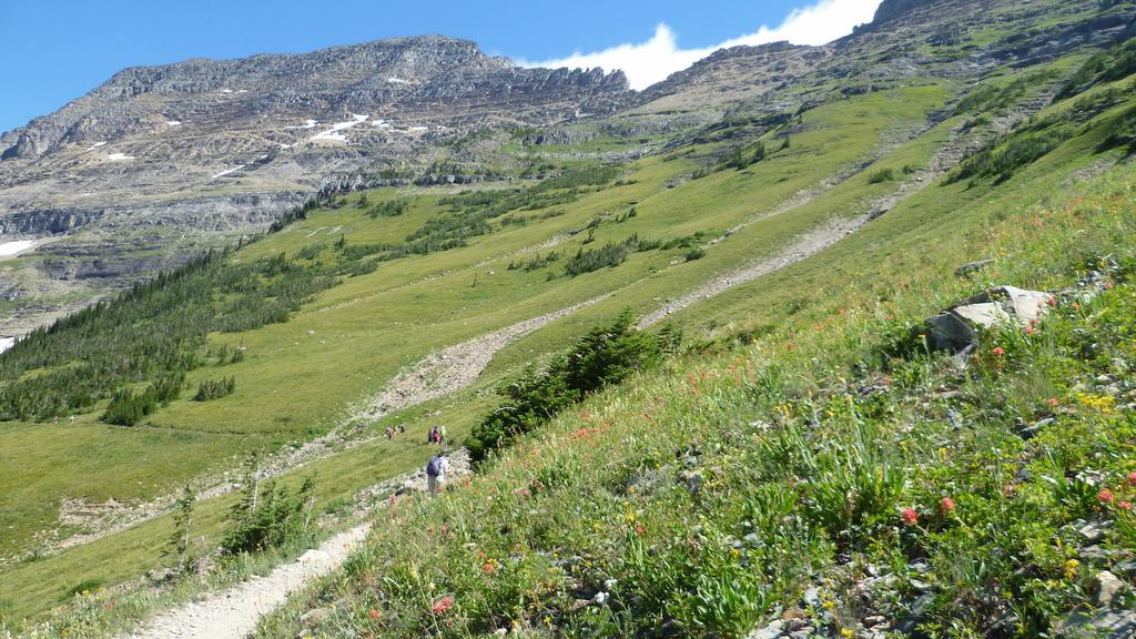 HIKING AND RAFTING GLACIER NATIONAL PARK HIGHLIGHTS JULY 28 - AUGUST 4, 2018 TRIP SUMMARY Hiking Glacier's classic trails with a local naturalist Immersing ourselves in a landscape of jagged peaks,