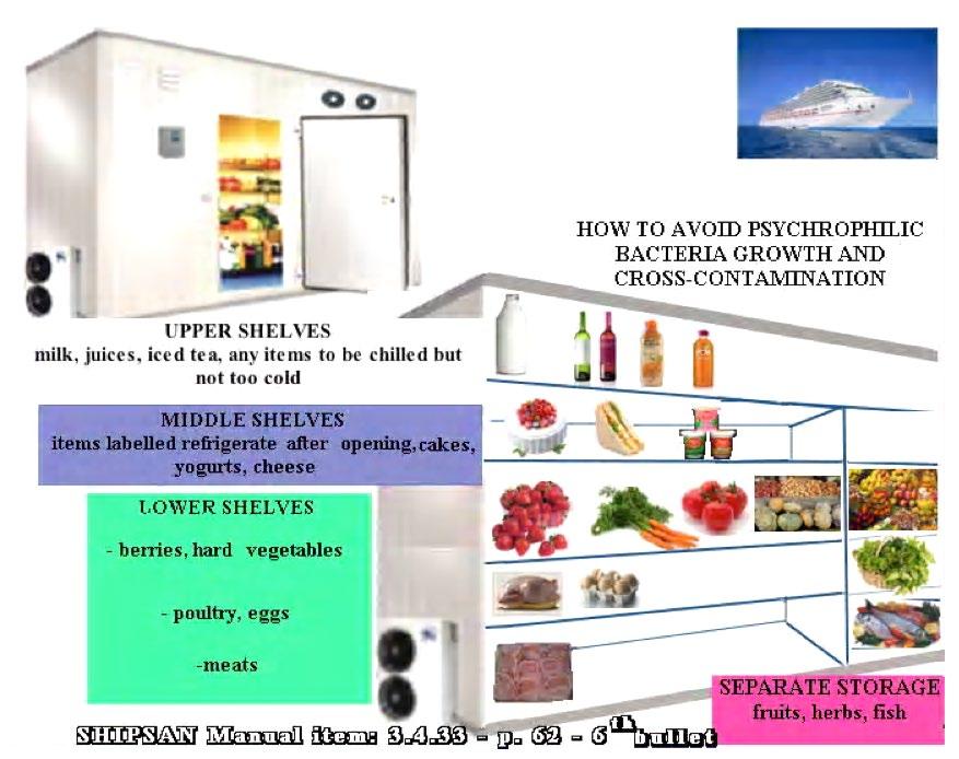 SHIPSAN NEWSLETTER Issue No 9. July 2014 5 Thematic Sections continued How to prevent psychrophilic pathogens from growing and spreading inside the fridges, and the cold storage rooms?