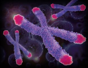 MITOTIČKI KROMATIN (kondenziran, ali su kromosomi raspršeni u citoplazmi) UČINCI IONIZIRAJUĆEG ZRAČENJA: