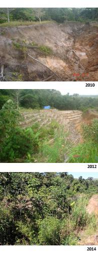 The full impact of this work will take a number of years to come to fruition, but over a relatively short period of time we saw an amazing transformation of the landscape.