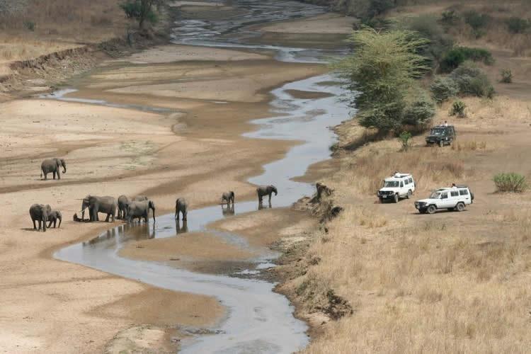 8 DAYS MIKUMI, RUAHA & ISIMILA STONE AGE HIGHLIGHTS You ll stay in remote and beautiful safari accommodation including the classic Old Farm House at Kisolanza, the strategically placed Ruaha River