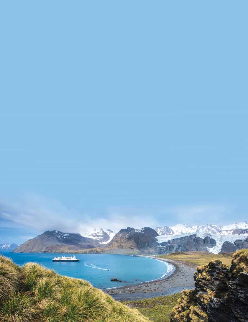 SOUTH GEORGIA AND THE FALKLANDS 19 DAYS/16 NIGHTS ABOARD NATIONAL GEOGRAPHIC EXPLORER PRICES FROM: $16,990 to $34,520 (See pages 44-45 for complete National Geographic Explorer prices.