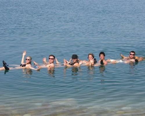 The Dead Sea Check-in Check in at