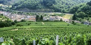 SUMMER PACKAGE 4 CHATEAUX AND DOMAINES 60,00 (regular Minubus Excursions) Daily Departure Half Day