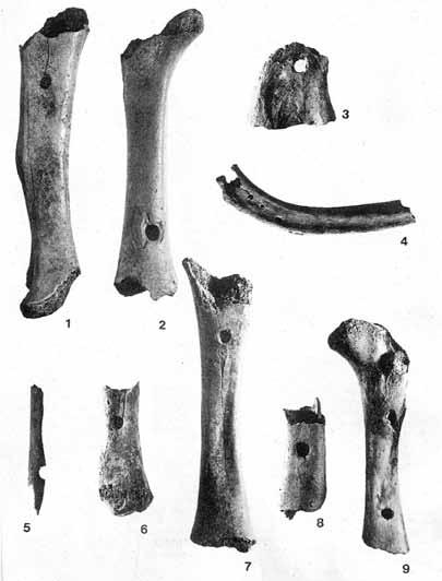 35 Starost najdene piščali je bila ponovno določena z elektronsko spinsko resonanco preiskav medvedjih zob. Jamo so najprej uporabljali neandertalci, kasneja pa tudi kromanjonci.