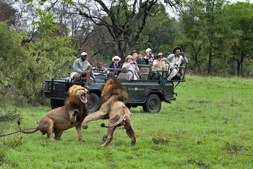 Day 5-6: Kruger National Park Day 7: Mpumalanga Johannesburg Kruger National Park guided excursion Shangaan cultural