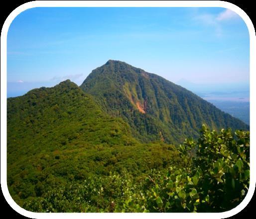 If you feel adventurous and want to do something challenging then, this is the one for you! Spend the day in Mombacho natural reserve and take a 2 ½ hour hike up and down the mountain.