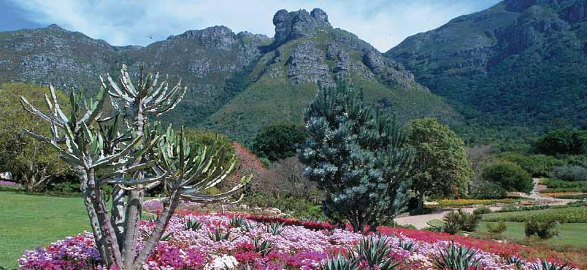 The splendid Kirstenbosch National Botanical Garden, South Africa Monday, January 28 & Tuesday, January 29 AT SEA (B, L, D) Wednesday, January 30 & Thursday, January 31 TAKORADI, THE CASTLE COAST &