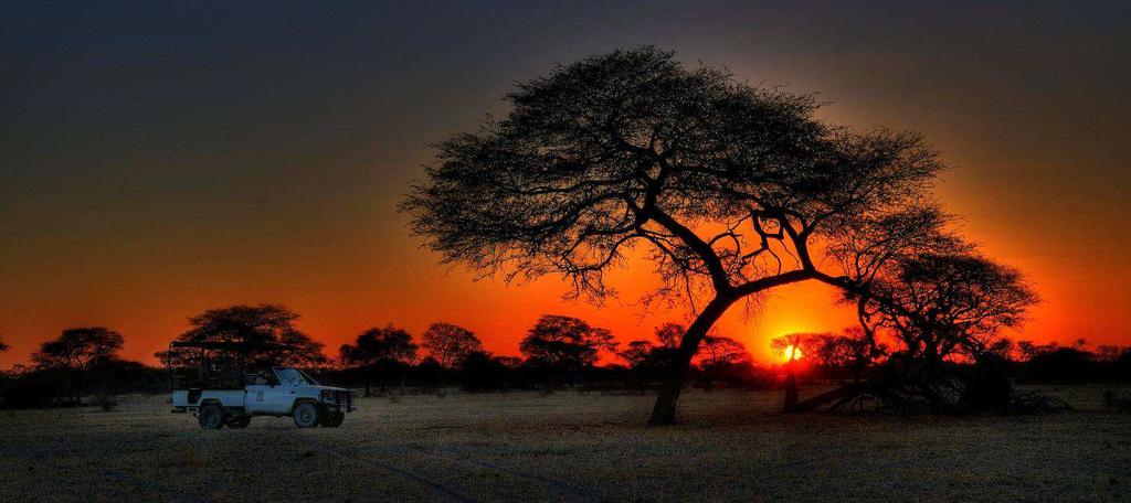net Botswana is our home Safaris are our passion Day Location Accommodation Transfers / Activities Meals 1 Makgadikgadi Leroo La Tau, Arrive Maun eta TBA where you are met by Safari Air L (time Area,