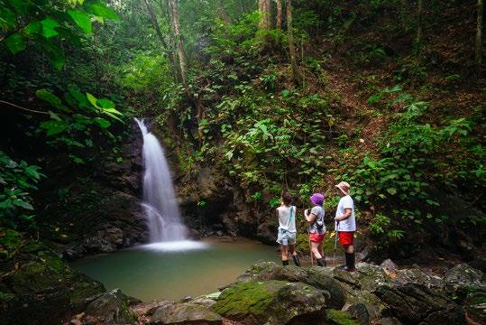 day 2 WILD WATERFALLS & NIGHT WALKS We ll deliver you some freshly-brewed Costa Rican coffee at sunrise so you can get ready for your first adventure: the