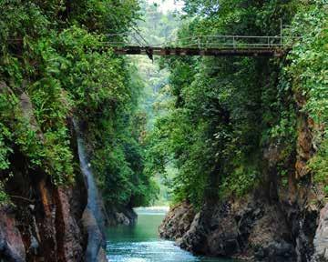 About the Locations MonteveRde CloUd FoReSt ReSeRve This reserve consists of over 26,000 acres of cloud forest, a tropical forest characterized by persistent or frequent low-level cloud cover,