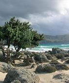 +30-28210-35000 ext.577 Fax: +30-28210-35001 Email: kazakis@maich.gr Project description: Background Coastal dunes with Juniperus spp. is a priority habitat (code 2250*) of the Habitats Directive.