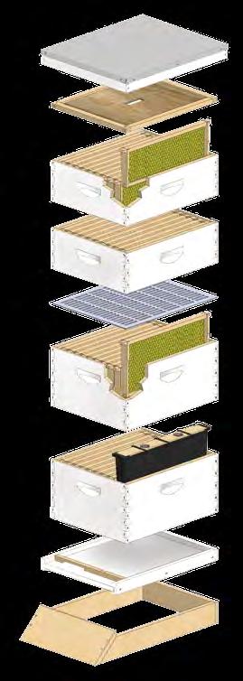Getting Started A basic 10 or 8 frame hive typically consists of a hive stand, bottom board, entrance reducer, two hive bodies (for brood), at least one or two supers (for surplus honey) and inner
