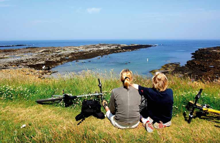 1. Introduction This document reports the main findings from the rthumberland Coast AONB Visitor Survey which was conducted from March-August 2013.