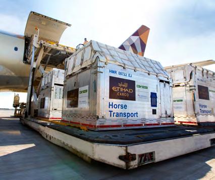 Etihad Cargo offers specialised products and services covering general and premium freight and valuable cargo.