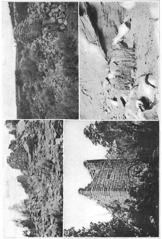 AMERICAN ANTHROPOLOGIST N. S., VOL. 6, PL. XVlll I 3 4 2 I. Group of open ruins. partly fallen, on the Yellowjacket, opposite mouth of Dawson Creek, Colorado. 2. S uare building on the slo e of Pellowjacket Canyon, opposite mouth 01 Dawsou Creek.