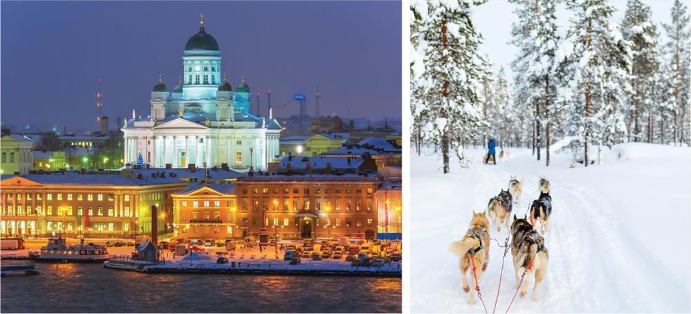 Immerse Yourself Lead your own dog sled team. Overnight in a glass igloo amid the Lappish wilderness. Meet Santa Claus himself and the Lappish reindeer.