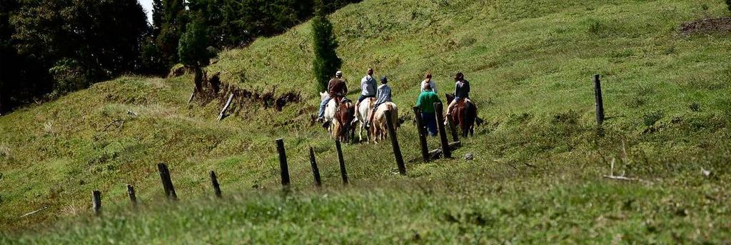 Horseback Riding 4 Cost per person from: $70 Cost per child from: $65, Minimum age 8 years Includes: Transportation, guide, equipment.
