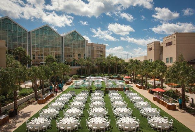 FLEX-SPACE OUTDOOR Coquina Lawn Gaylord Palms Resort & Convention Center 23 OUTDOOR FLEX-SPACE L X W (FEET) SQ.FT.