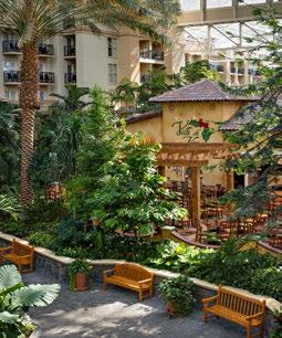 FLEX-SPACE RESTAURANT Villa de Flora & Socio Gaylord Palms Resort & Convention Center 27 RESTAURANT