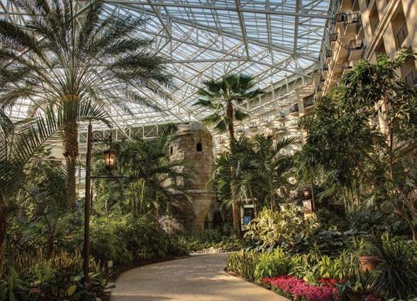 Let the Sun Shine In! Bask in the hot spot for Florida meetings the spectacular Gaylord Palms!