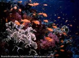 Marine Ecosystem Threats (Stressor)