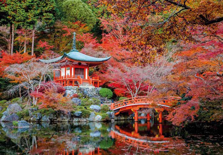 In the parks and temple gardens of the cities, the leaves of the multitude of maple and gingko trees turn vibrant shades of red, yellow and orange; if you are travelling into the Japanese Alps,
